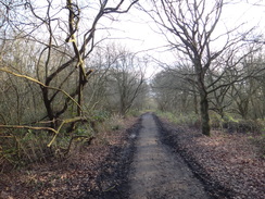 P2019DSC07089	Following Hadley Wood Road eastwards.