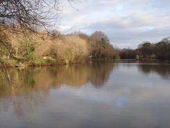 P2019DSC07092	Beech Hill Lake.