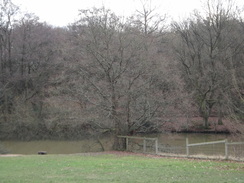 P2019DSC07108	A fish pond in Trent Park.