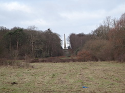 P2019DSC07110	Looking up towards an obelisk in Trent Park.