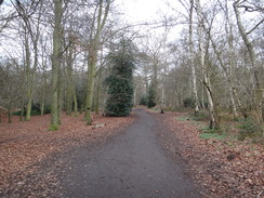 P2019DSC07113	The path through Trent Park.