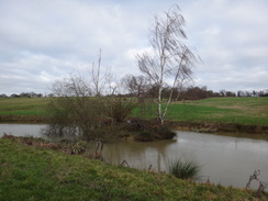 P2019DSC07124	A little pond beside the trail to the west of The Ridgeway.