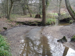 P2019DSC07140	The Turkey Brook at Clay Hill.