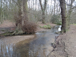 P2019DSC07142	The Turkey Brook at Clay Hill.