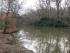 P2019DSC07156	A lake in Forty Hall Country Park.