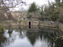 P2019DSC07177	A pond by Enfield Island Village.