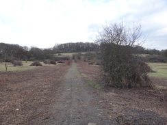 P2019DSC07194	The path leading up onto Barn Hill.