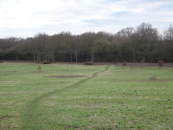 P2019DSC07200	Heading south towards Gilwell Park.