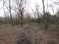 P2019DSC07205	 roadside path leading to Gilwell Park.