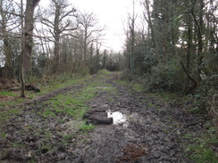 P2019DSC07210	A muddy stretch of path past Gilwell Park.