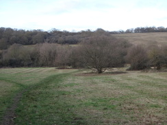 P2019DSC07217	Looking back towards Gilwell Park.