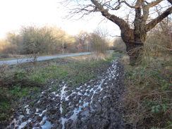 P2019DSC07233	A muddy stretch of path beside the A1069.