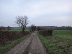 P2019DSC07288	Looking down Green Lane.