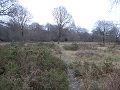 P2019DSC07306	The path leading into Hainault Forest Country Park.