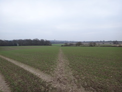 P2019DSC07332	Following the trail east towards Havering Country Park.