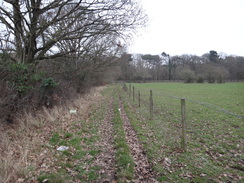 P2019DSC07341	Heading east from Lower Park Farm towards Havering Country Park.