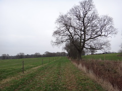 P2019DSC07361	Following the trail east from Havering-atte-Bower.