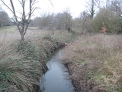 P2019DSC07410	The Ingrebourne River.