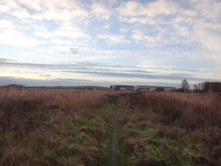 P2019DSC07485	Following a path south past the edge of Rainham Marshes.