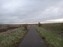 P2019DSC07529	Following the path east from Coldharbour Point towards Purfleet.