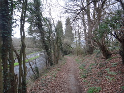 P2019DSC07615	A path beside the road leading down from the Langdon Hills towards Lee Chapel.