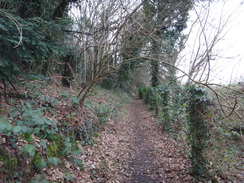 P2019DSC07743	The path past Churchfield Wood.