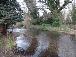 P2019DSC07768	The River Cray heading towards Five Arch Bridge.