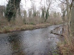 P2019DSC07774	The River Cray heading towards Five Arch Bridge.