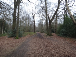 P2019DSC07846	The path heading south through Petts Wood.