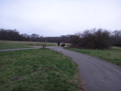 P2019DSC07898	A path in Jubilee Country Park.