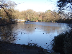 P2019DSC07978	A lake on Keston Common.