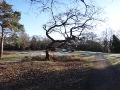 P2019DSC07997	The earthworks on West Wickham Common.