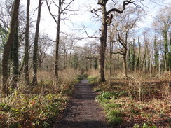 P2019DSC08014	The path through Threehalfpenny Wood.