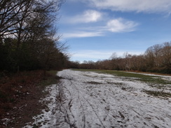 P2019DSC08017	The path to the west of Threehalfpenny Wood.