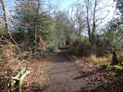 P2019DSC08039	The path alongside the A212 at Heathfield.