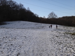 P2019DSC08045	The path approaching Littleheath Woods.