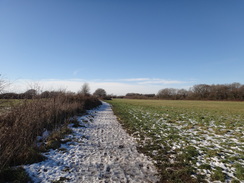 P2019DSC08062	 The path leading from Hamesy Green towards Riddlesdown.