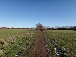 P2019DSC08064	 The path leading from Hamesy Green towards Riddlesdown.