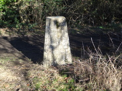 P2019DSC08072	Riddlesdown trig pillar.