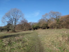 P2019DSC08076	The descent down from Riddlesdown.