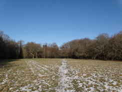 P2019DSC08091	The path on Kenley Common.