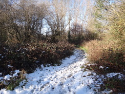 P2019DSC08093	The path near Kenley Airfield.