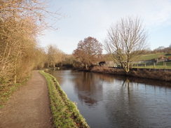 P2019DSC08216	The canal between Crossflats and Riddlesden.