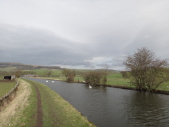 P2019DSC08358	The canal between Skipton and Gargrave.