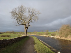 P2019DSC08450	The canal near Scarland Lock.