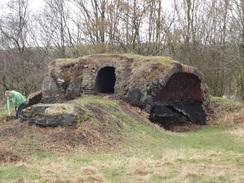 P2019DSC08755	Old coke ovens on the site of the former Aspen Colliery.