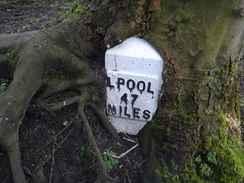 P2019DSC08901	A tree consuming a milepost.