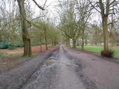 P2019DSCF2068	A track through Nonsuch Park.