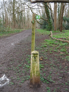 P2019DSCF2079	Waymarkers in Nonsuch Park.