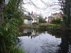 P2019DSCF2105	The Hogsmill River, Ewell.